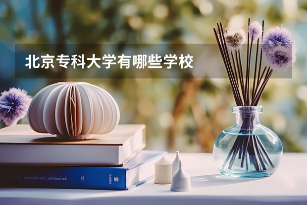 北京专科大学有哪些学校