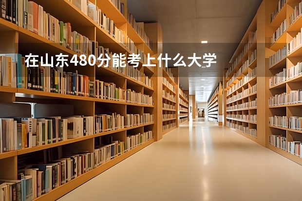 在山东480分能考上什么大学