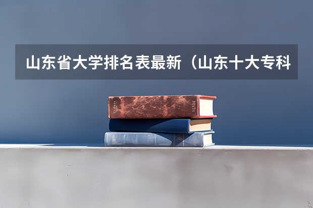 山东省大学排名表最新（山东十大专科学校排名）