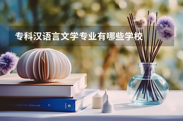 专科汉语言文学专业有哪些学校