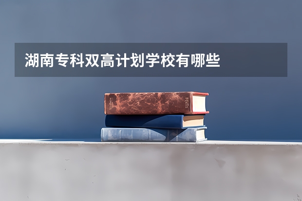 湖南专科双高计划学校有哪些