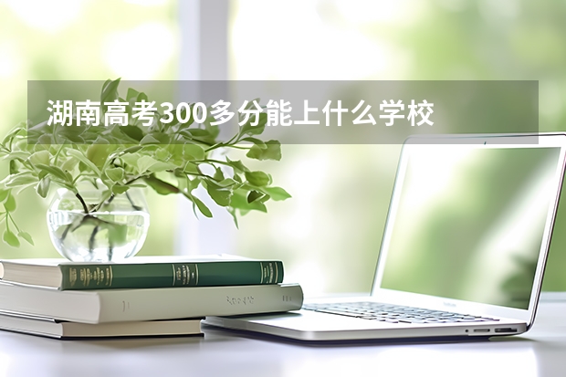 湖南高考300多分能上什么学校