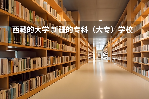 西藏的大学 新疆的专科（大专）学校