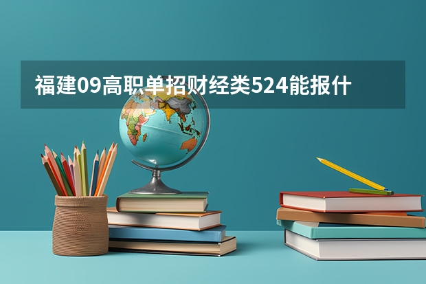 福建09高职单招财经类524能报什么学校？