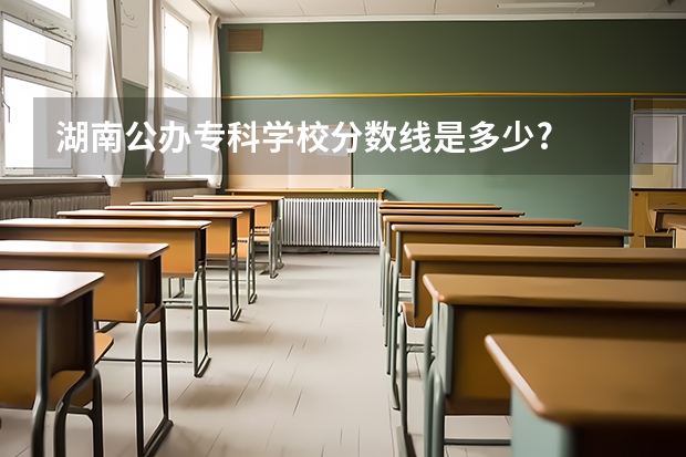 湖南公办专科学校分数线是多少?