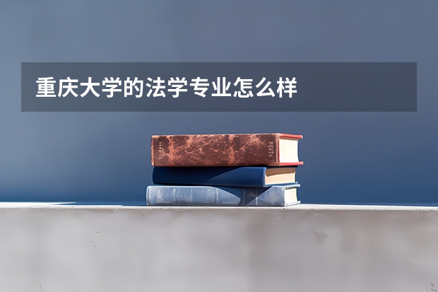 重庆大学的法学专业怎么样