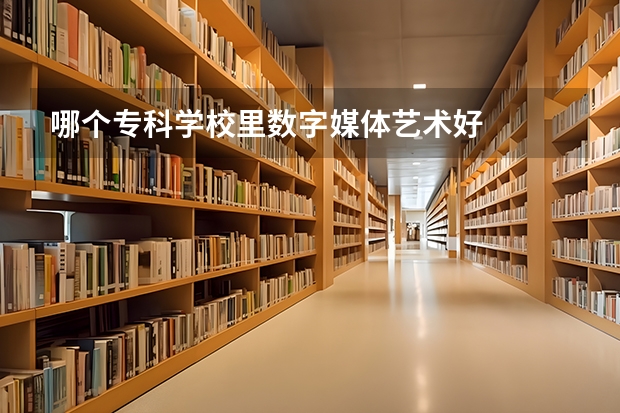 哪个专科学校里数字媒体艺术好