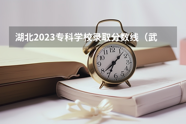 湖北2023专科学校录取分数线（武汉专科大学排名文科）