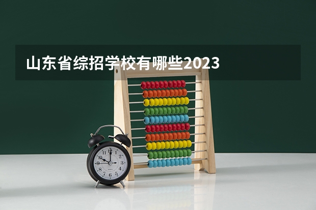 山东省综招学校有哪些2023