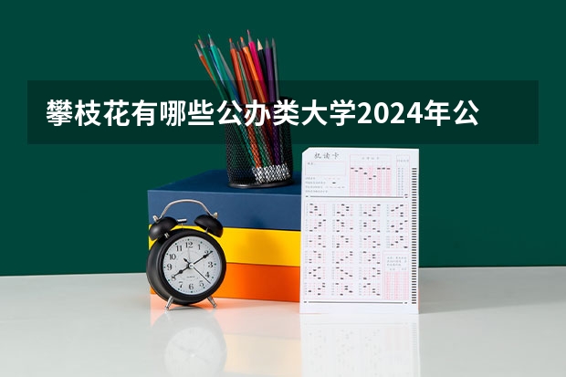 攀枝花有哪些公办类大学2024年公办大学名单及排名