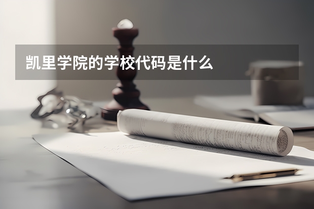 凯里学院的学校代码是什么