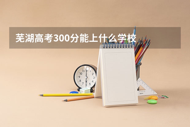 芜湖高考300分能上什么学校