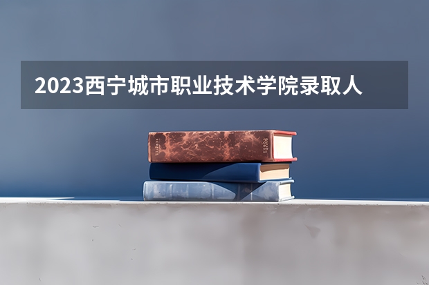 2023西宁城市职业技术学院录取人数 2023西宁城市职业技术学院招生计划